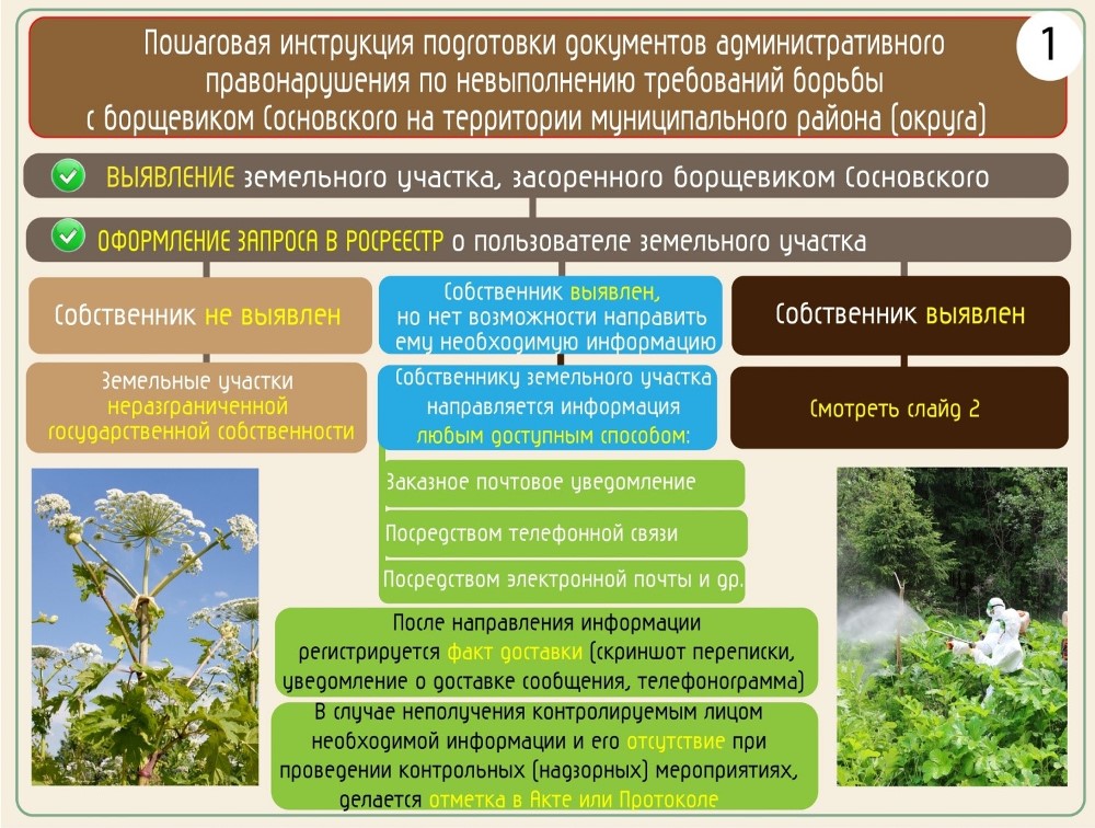 МЕТОДИЧЕСКИЕ РЕКОМЕНДАЦИИ ПО БОРЬБЕ С БОРЩЕВИКОМ СОСНОВСКОГО